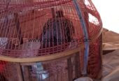 Sindi Black Teter for sale