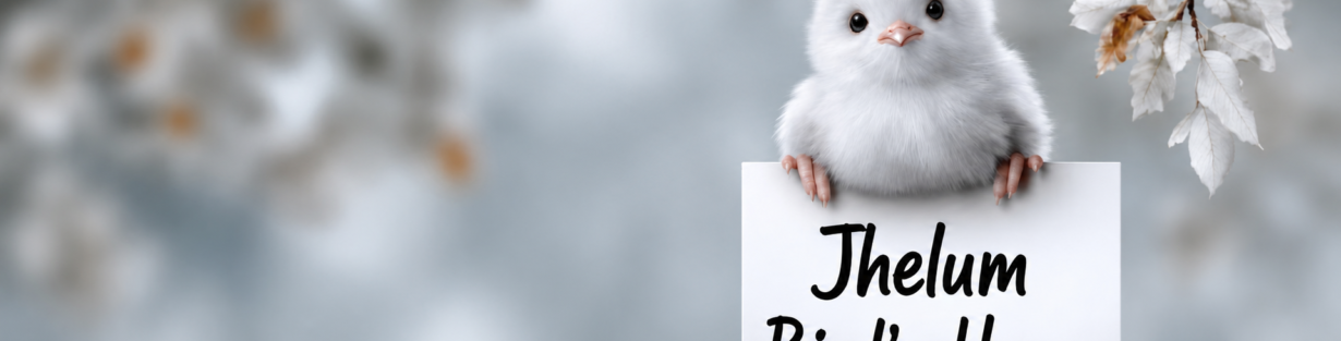 Store Banner