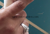 High quality herra pair