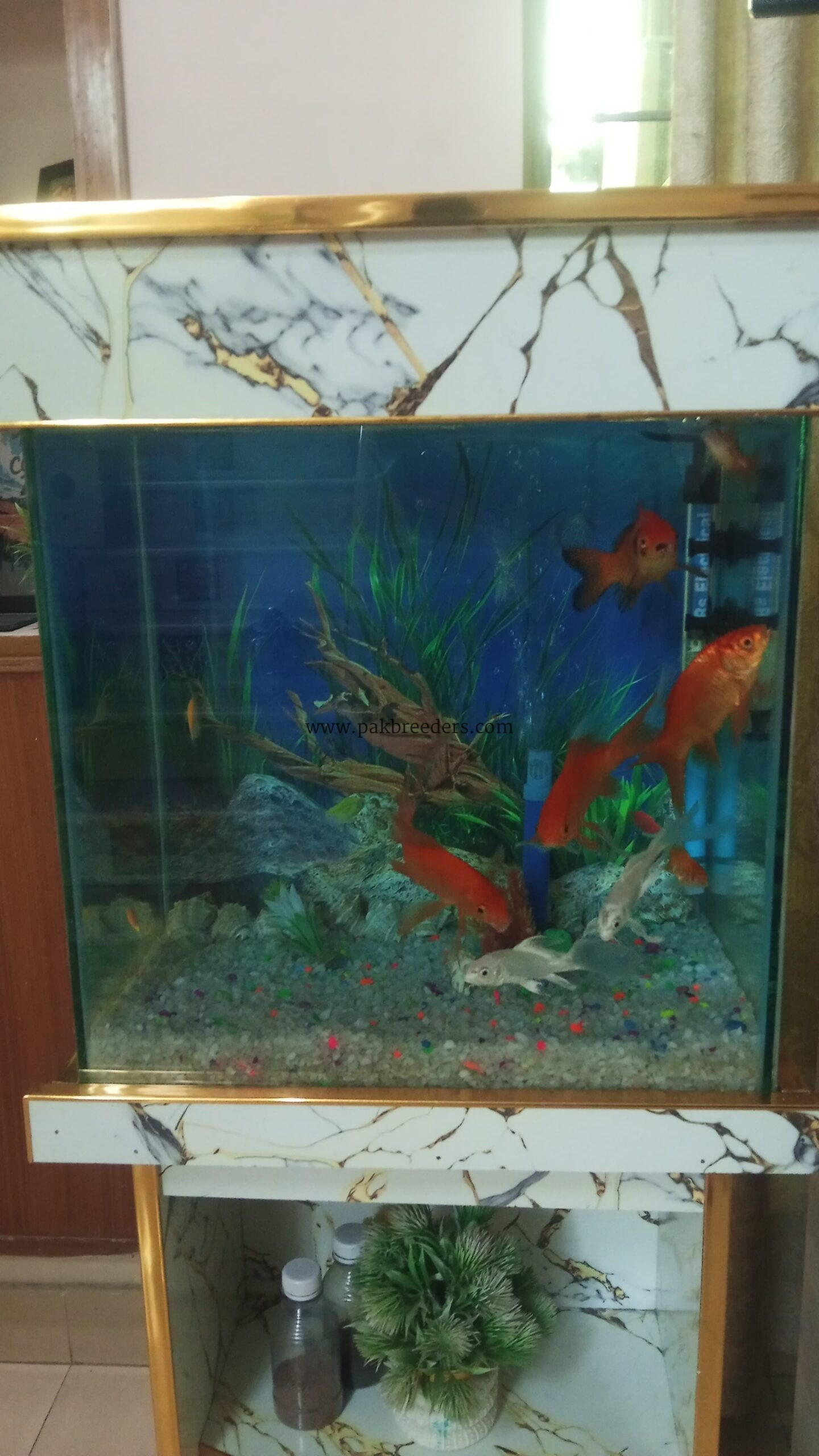 Fish equarim