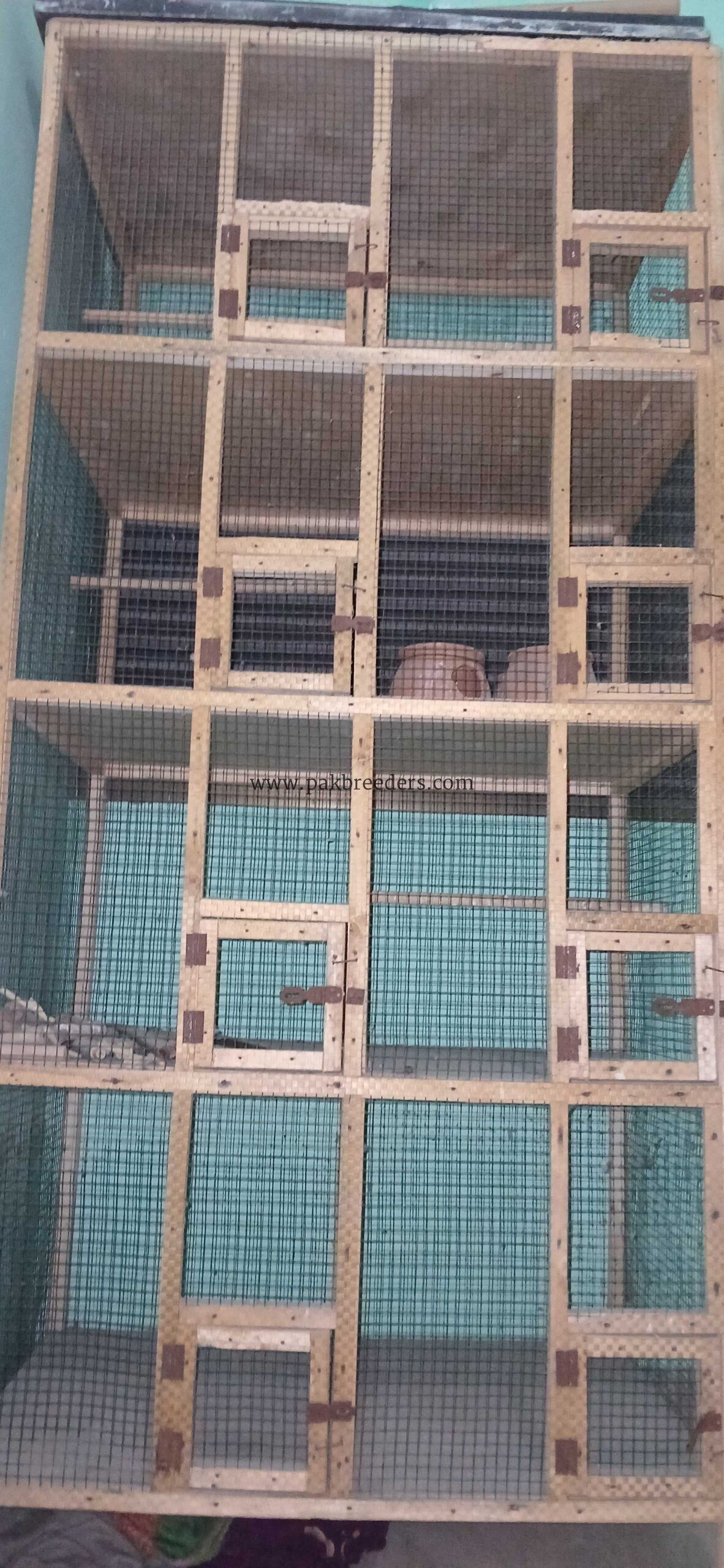 Love Birds and Finches Breeding Cage