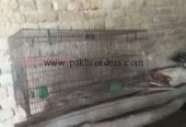 locations pabbi nowshehra