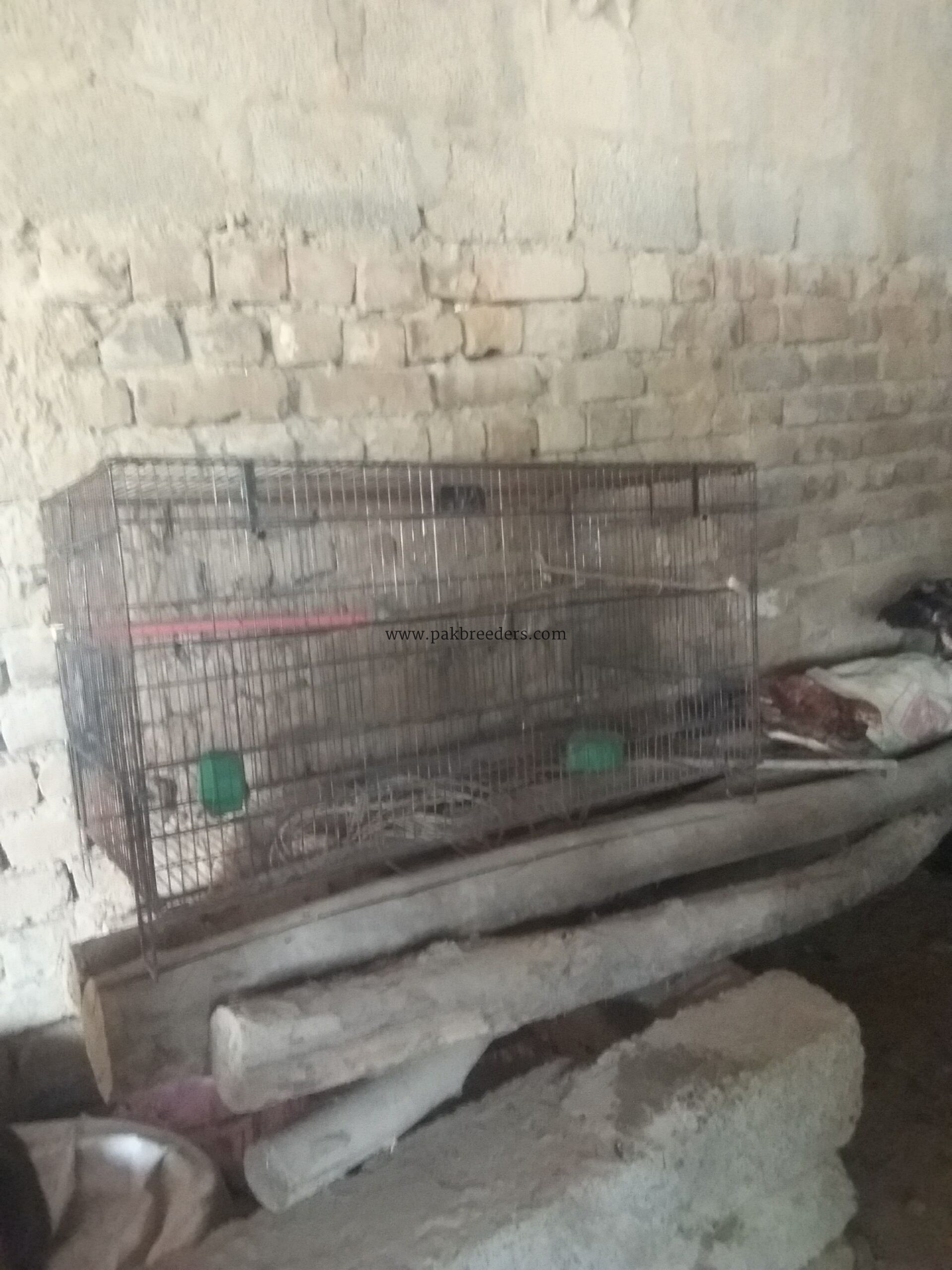 locations pabbi nowshehra