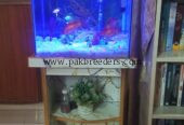 Fish equarim